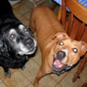 Meet your Posher, Cathy